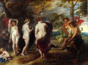 Peter Paul Rubens The Judgment of Paris (mk27) oil painting picture wholesale